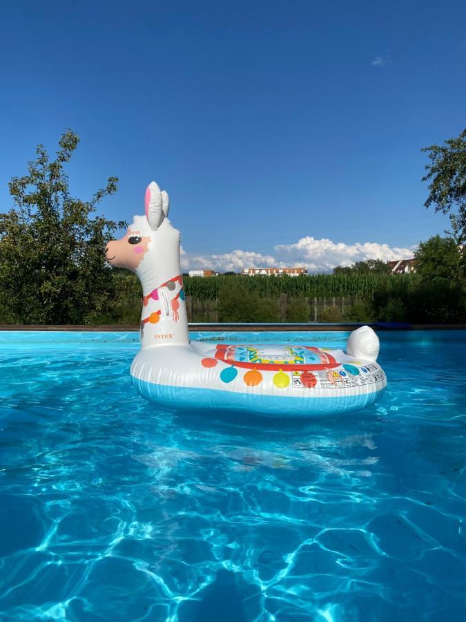 Magnifique Villa Piscine Dans Un Ecrin De Verdure Eckbolsheim Екстер'єр фото