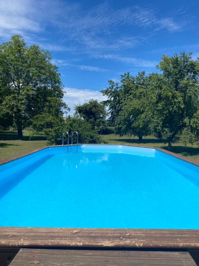 Magnifique Villa Piscine Dans Un Ecrin De Verdure Eckbolsheim Екстер'єр фото